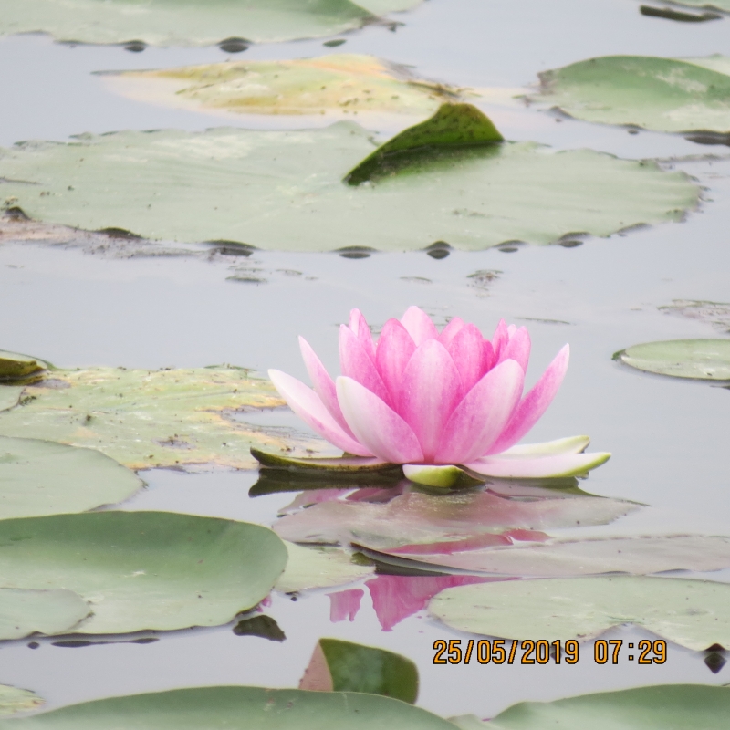 IMG_8353.JPG