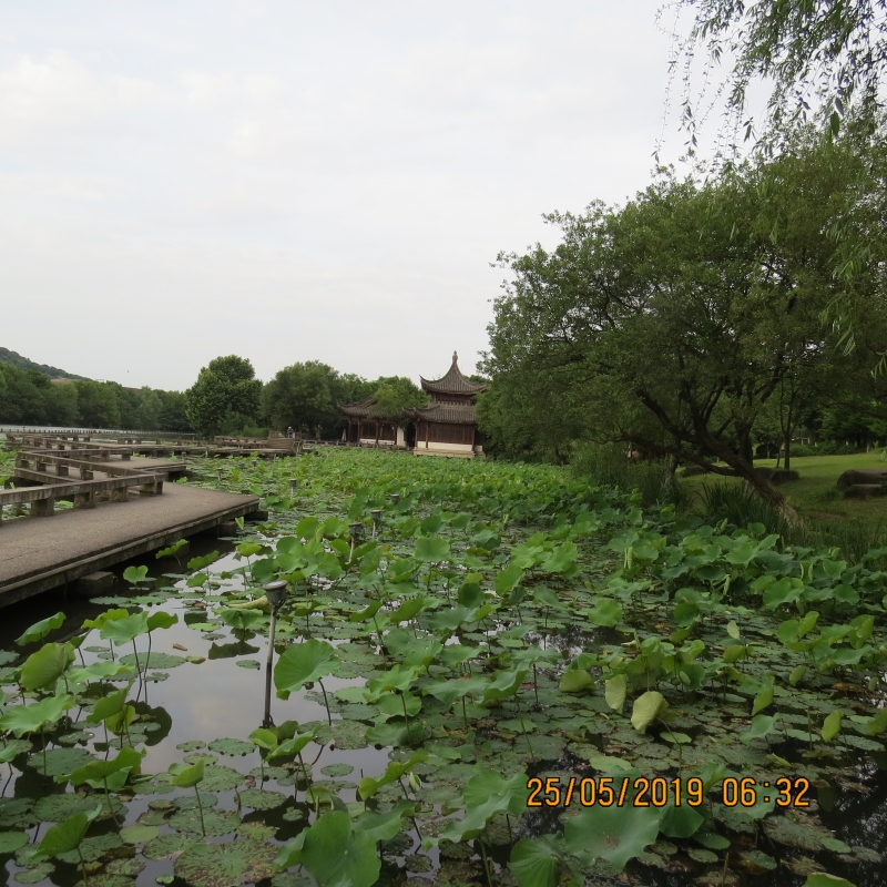 IMG_8272.JPG