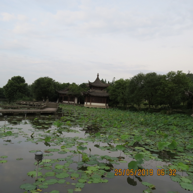 IMG_8274.JPG