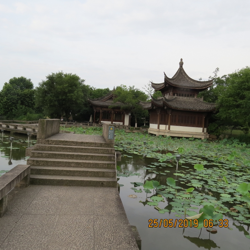 IMG_8276.JPG