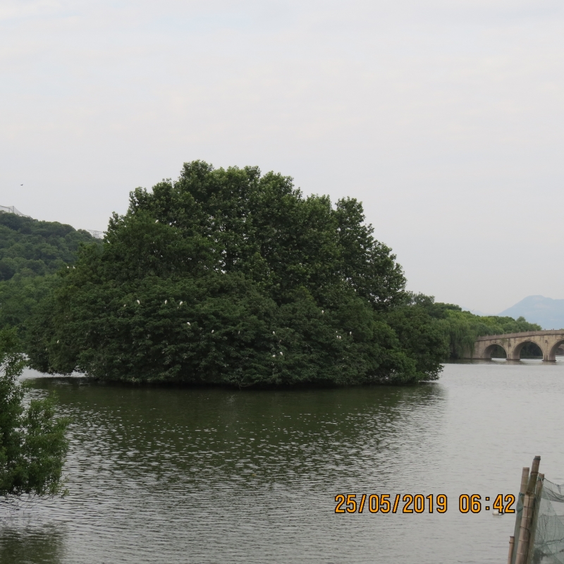 IMG_8278.JPG