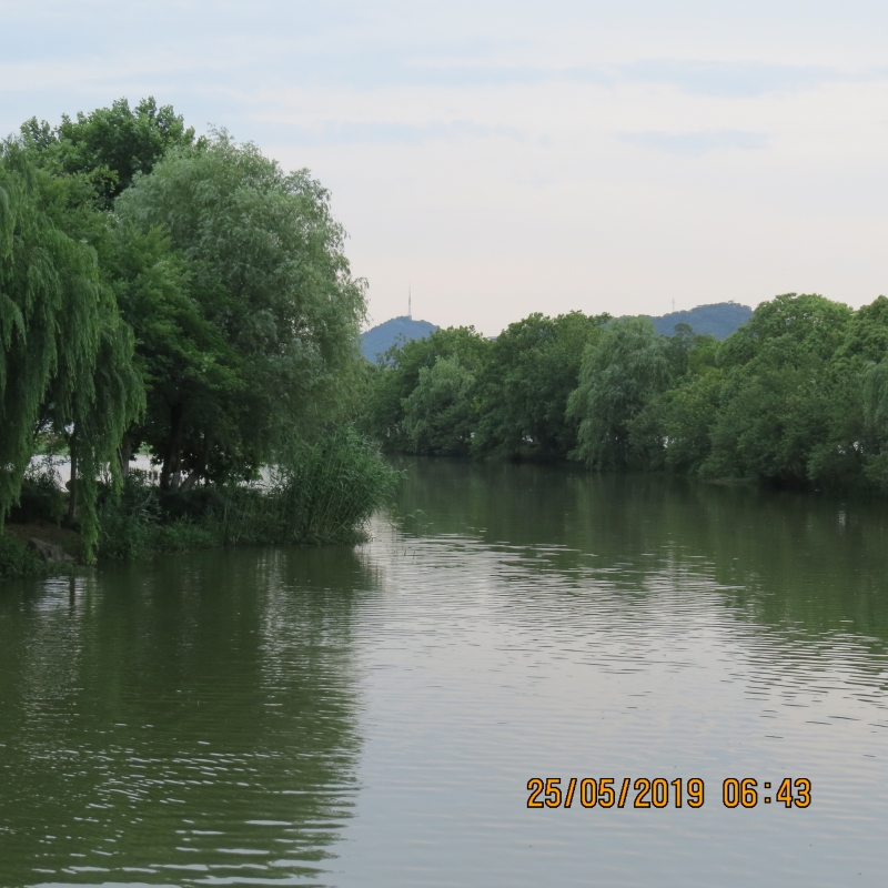 IMG_8281.JPG