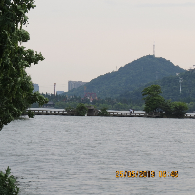 IMG_8284.JPG