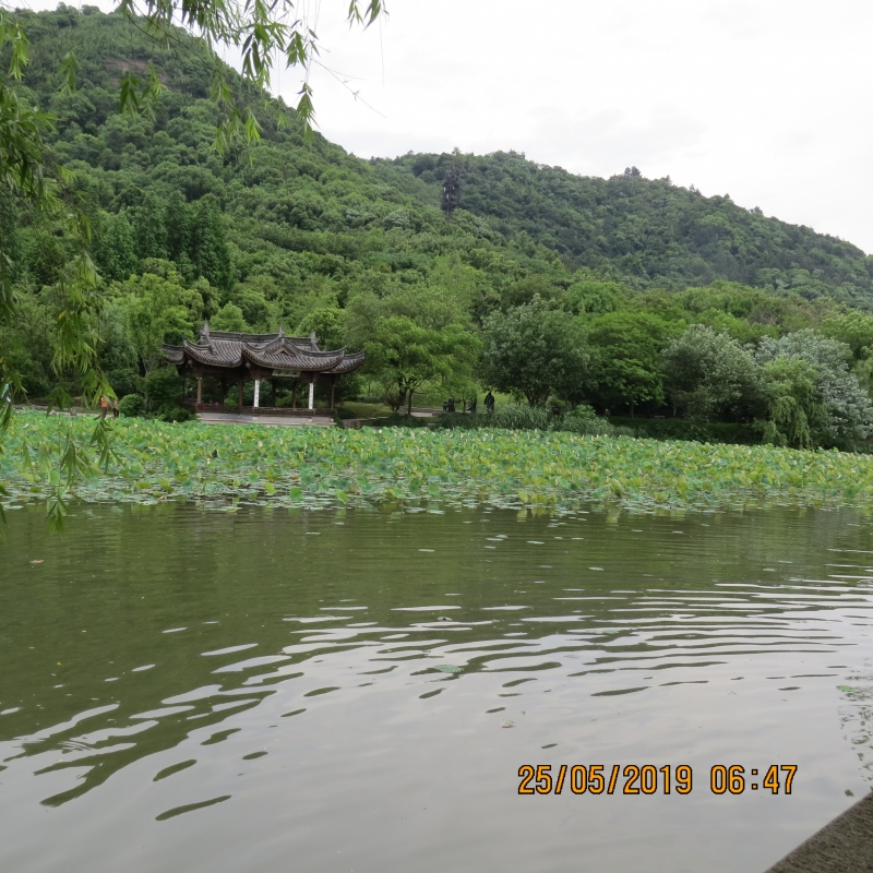 IMG_8285.JPG