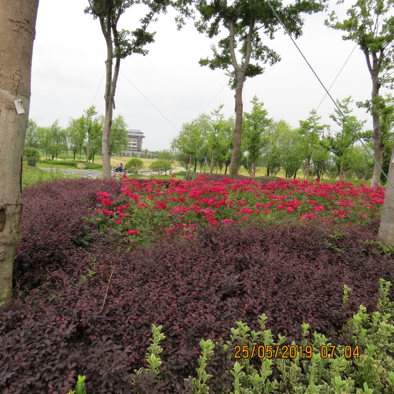 IMG_8286.JPG