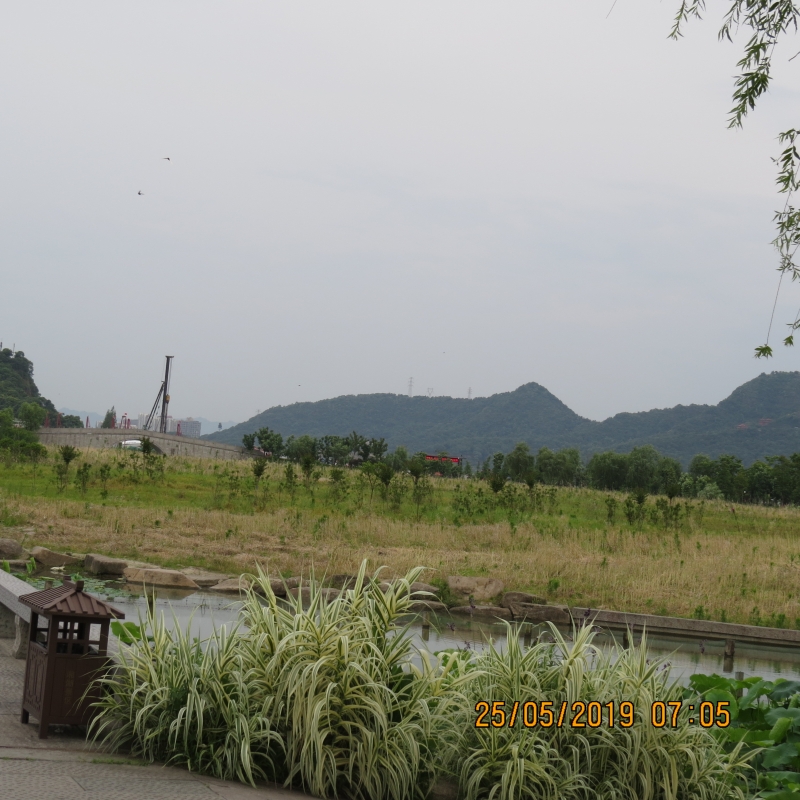 IMG_8289.JPG