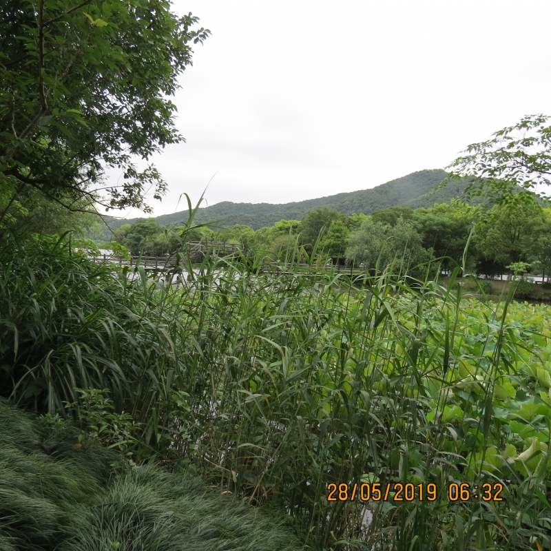 IMG_8389.JPG