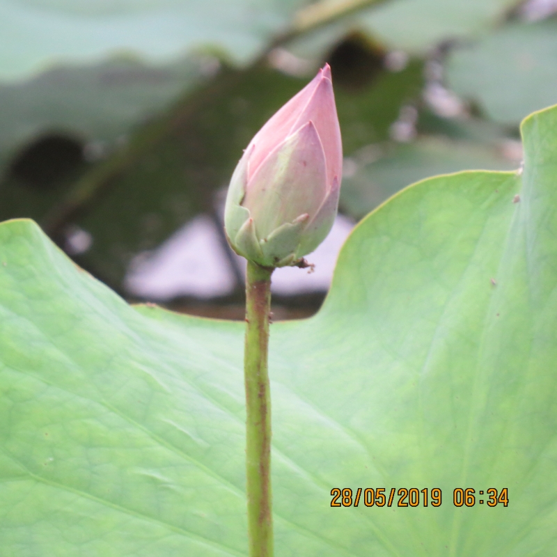 IMG_8391.JPG