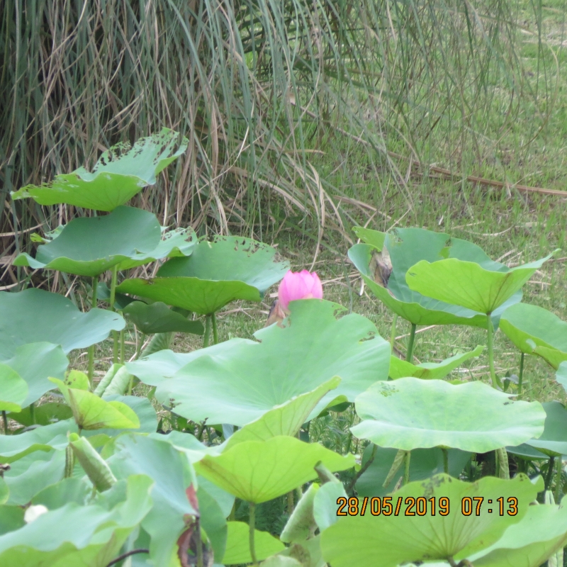 IMG_8428.JPG