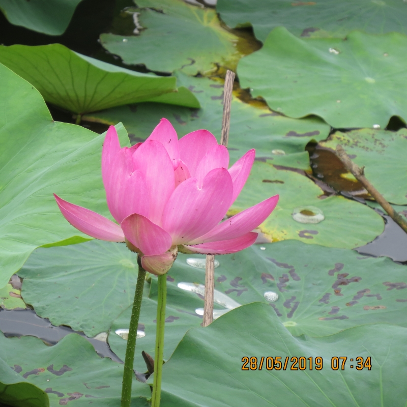 IMG_8441.JPG