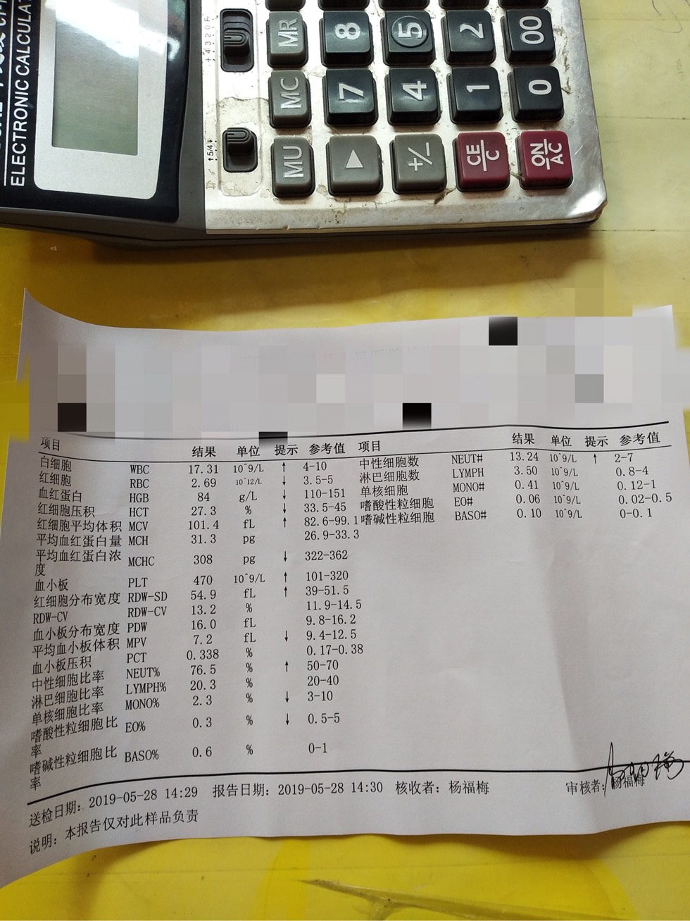 145049bss0wlpry2ylewdc.jpg