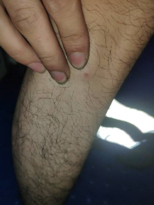 112508phok7ik5vvnjnil2.jpg