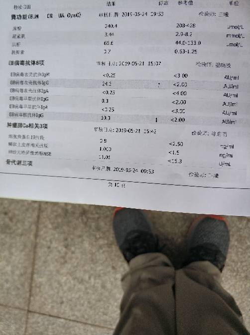 182118nzm9omipdroyekkm.jpg