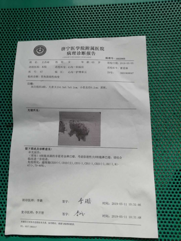 组化1.jpg