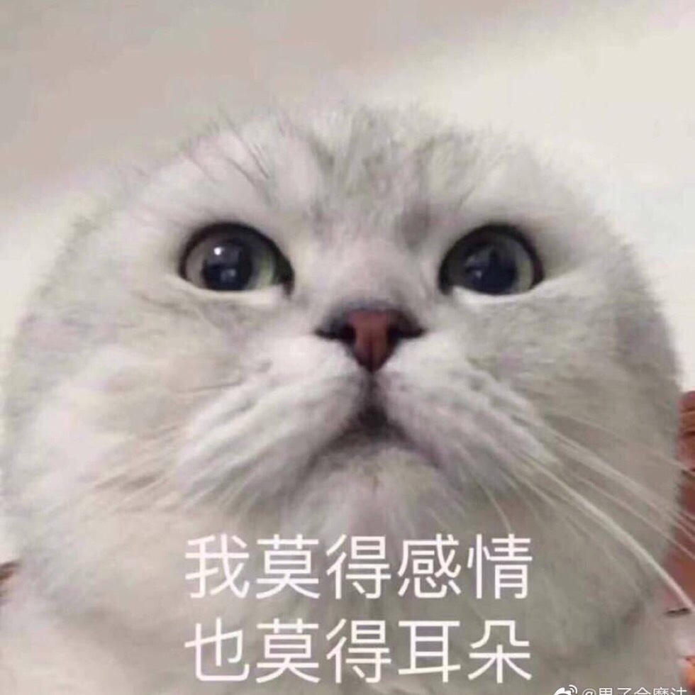 092703ka8lo4gagu6fugul.jpg