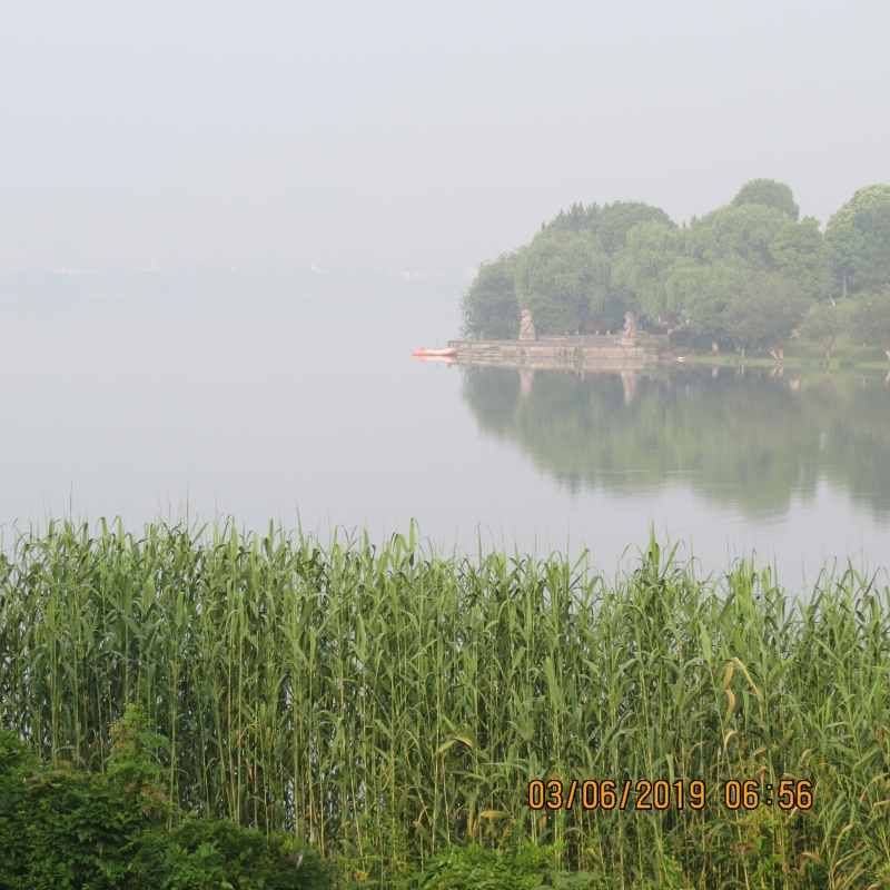 IMG_8728.JPG