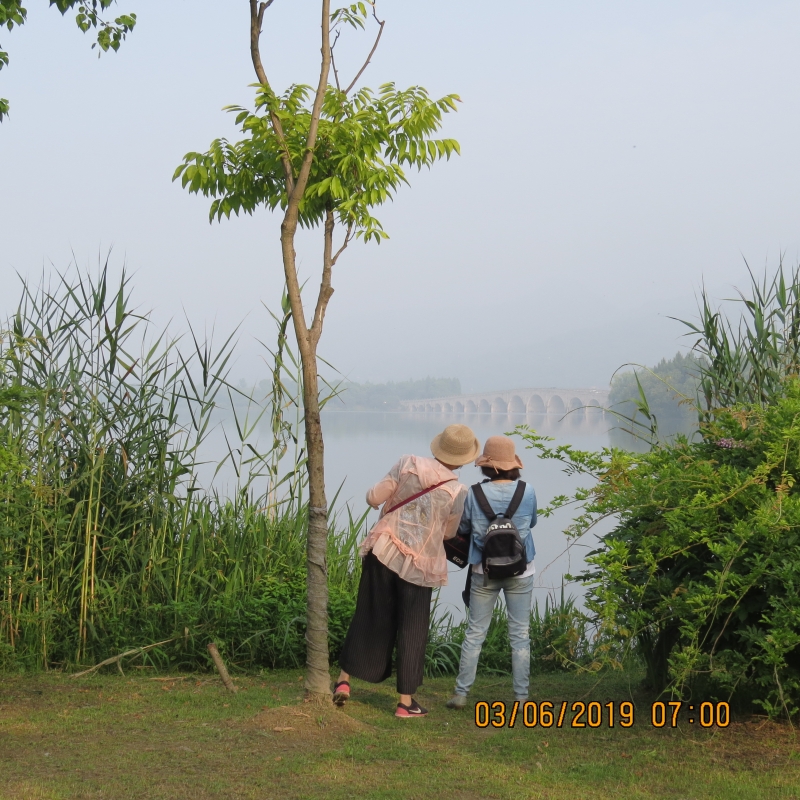 IMG_8733.JPG