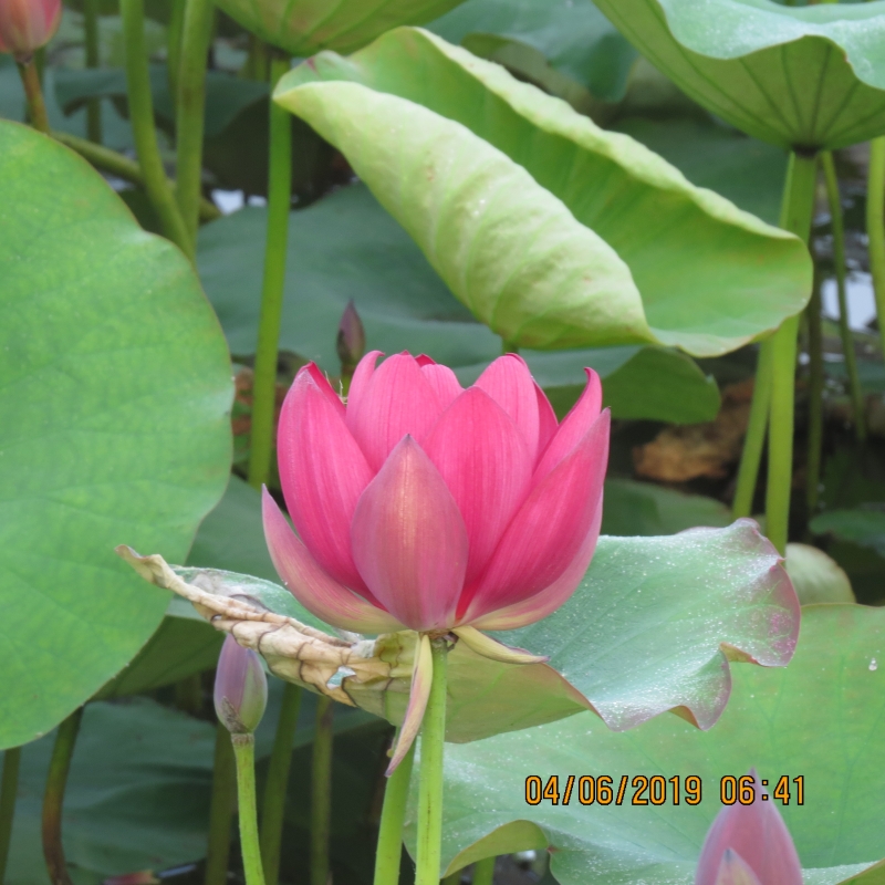 IMG_8786.JPG