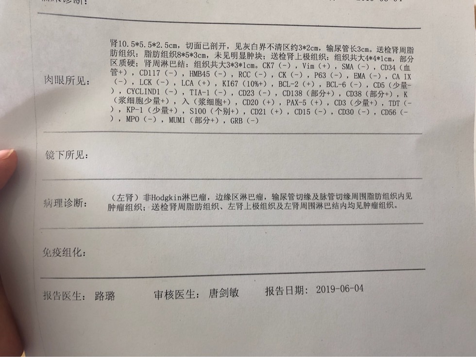 123632ger8qjyiz8jieerg.jpg