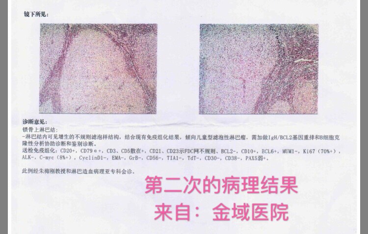 165823lll2ddz9no8kg1g4.jpg