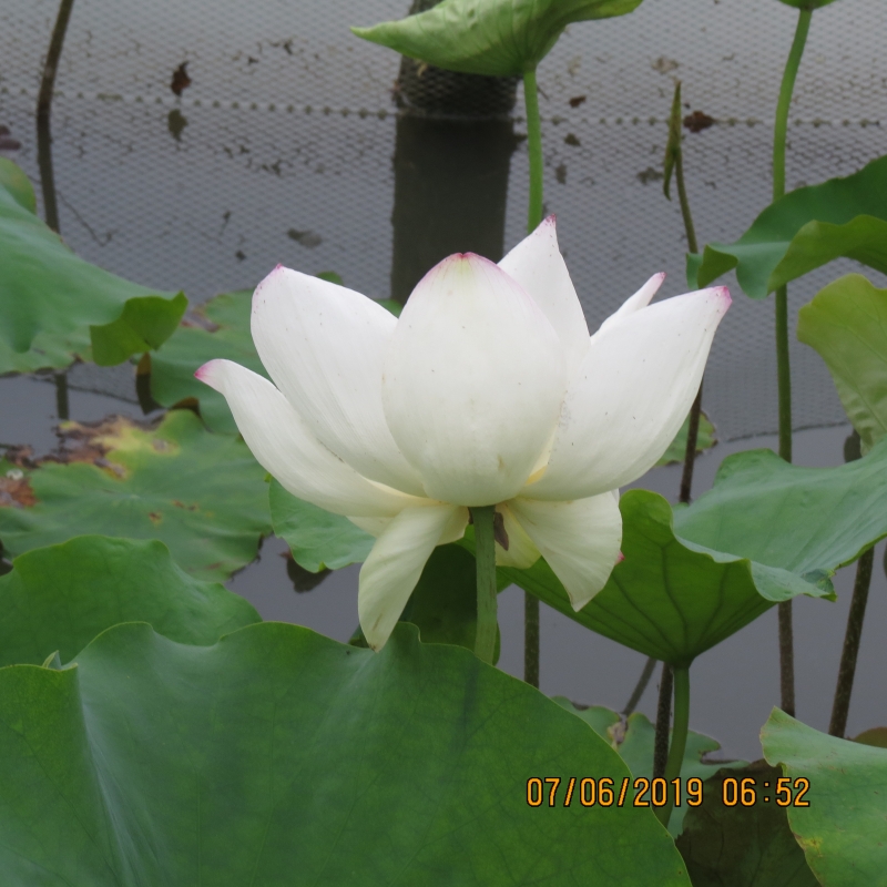 IMG_8932.JPG