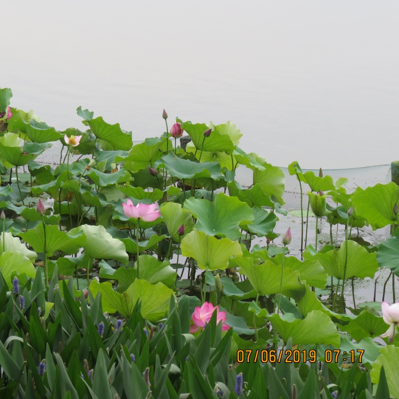 IMG_8975.JPG