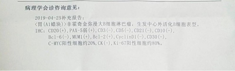 062956zan88119ennmdm9j.jpg