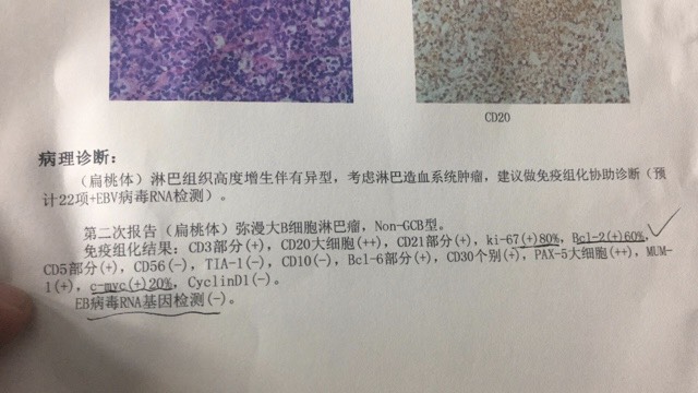 012340xb4u38gm8616gzr8.jpg