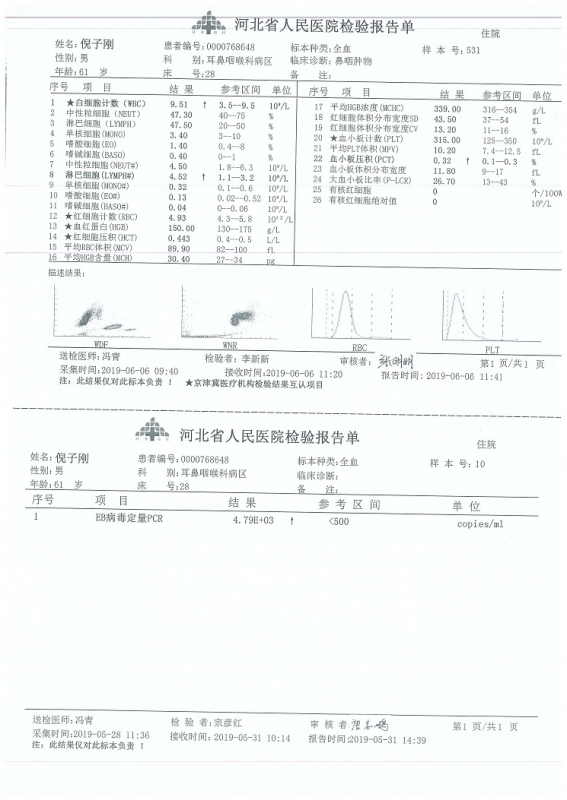 06.jpg