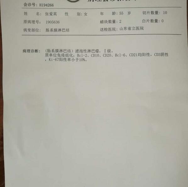 病理报告2