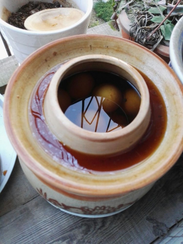微信图片_20190624105011.jpg