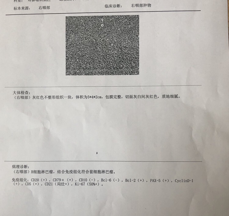 103952xklnynmo8okfrwii.jpg