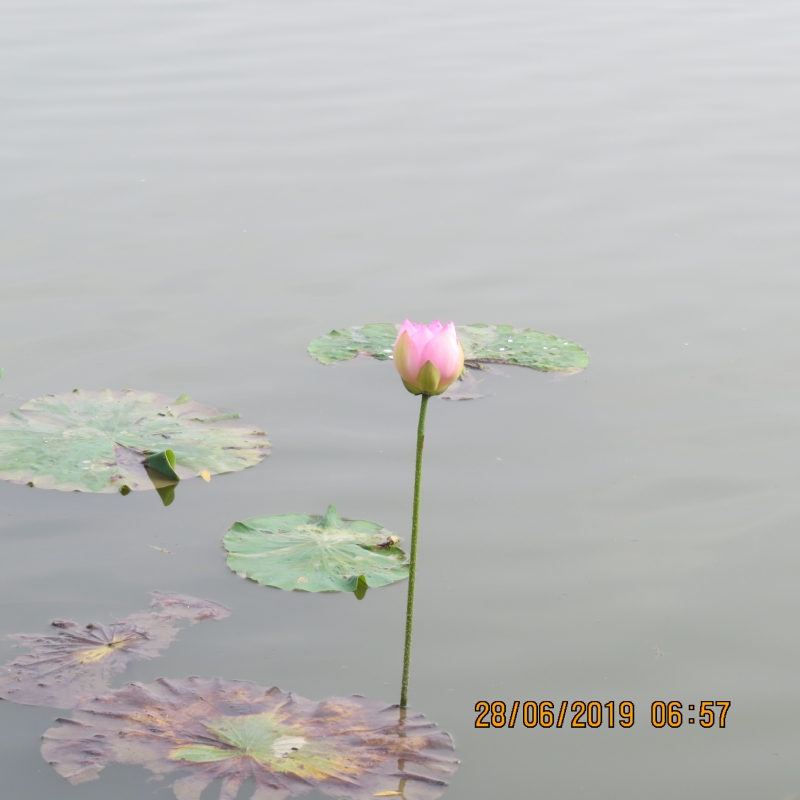 IMG_9156.JPG