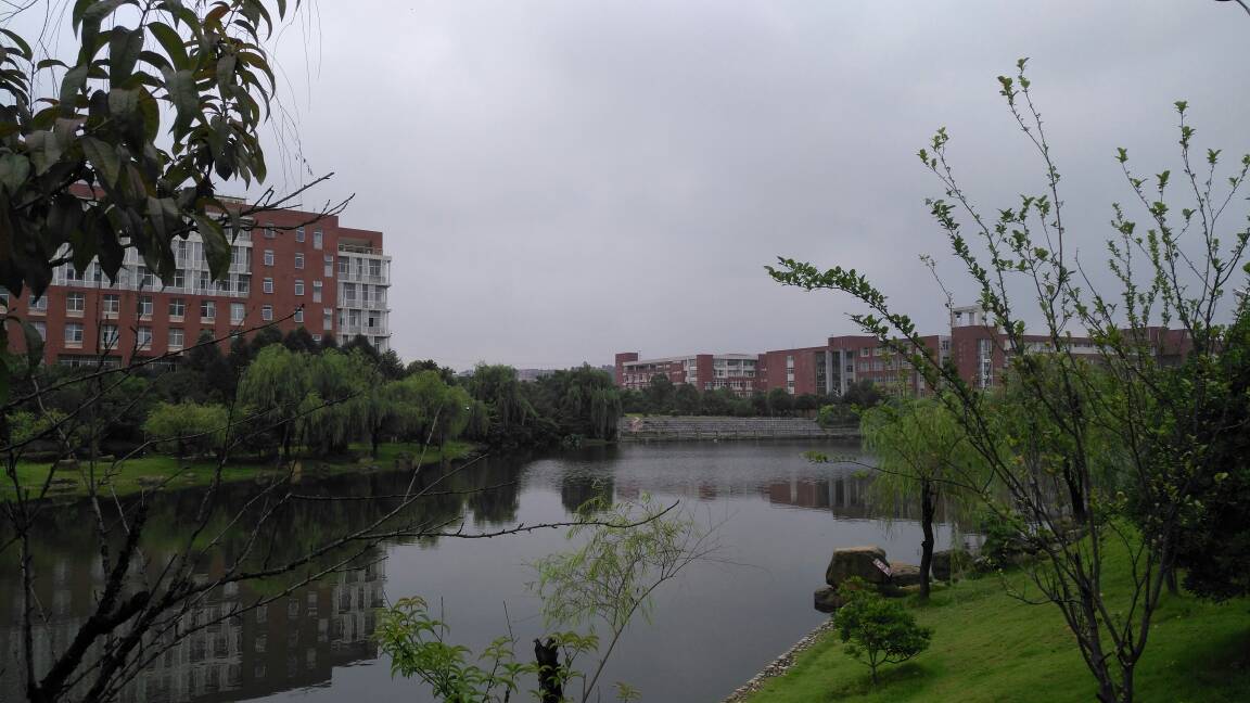 105652d9y779gjwr999n1f.jpg