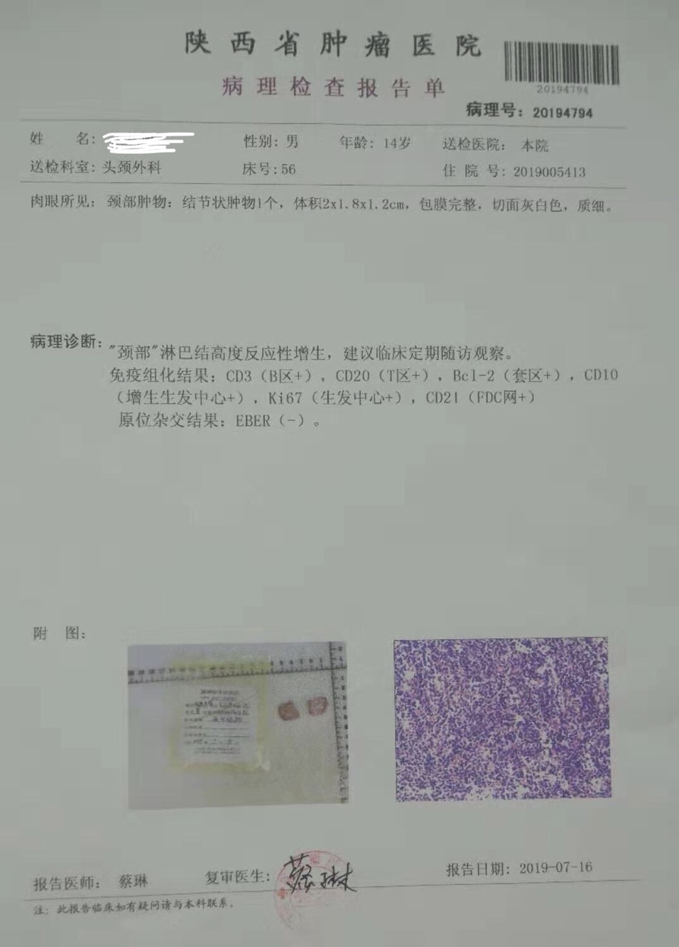 165109cnjj8q05rshsokya.jpg
