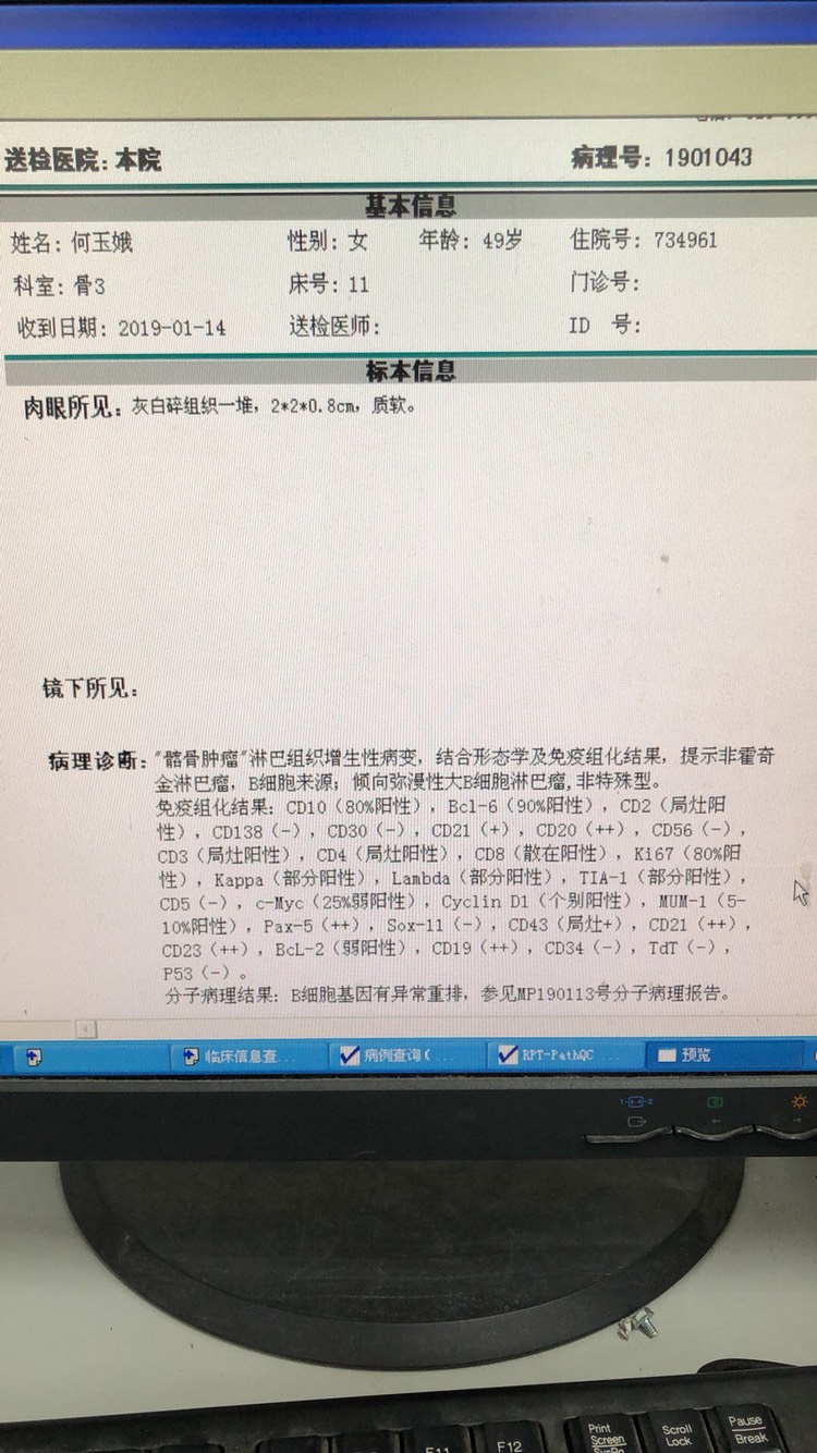 144221p0vvynananbbrbjb.jpg