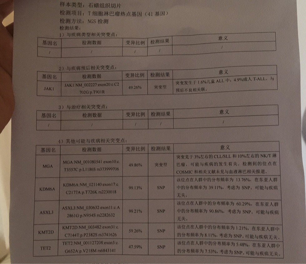 163315dmdcs4o8w9pwtp9l.jpg