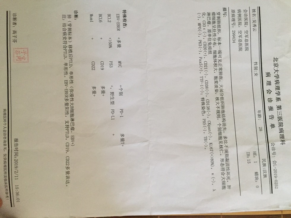 130016q3zzrrwma59oj4v6.jpg
