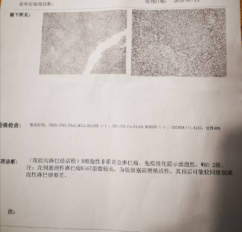 131151jhonlwf42ffw46o4.jpg
