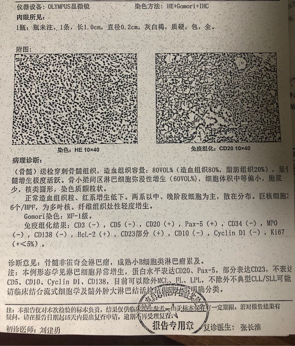 222132gaaghheaeaa58ll6.jpg