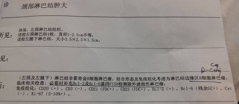 195513xu3y2xxyuy4c4c3c.jpg