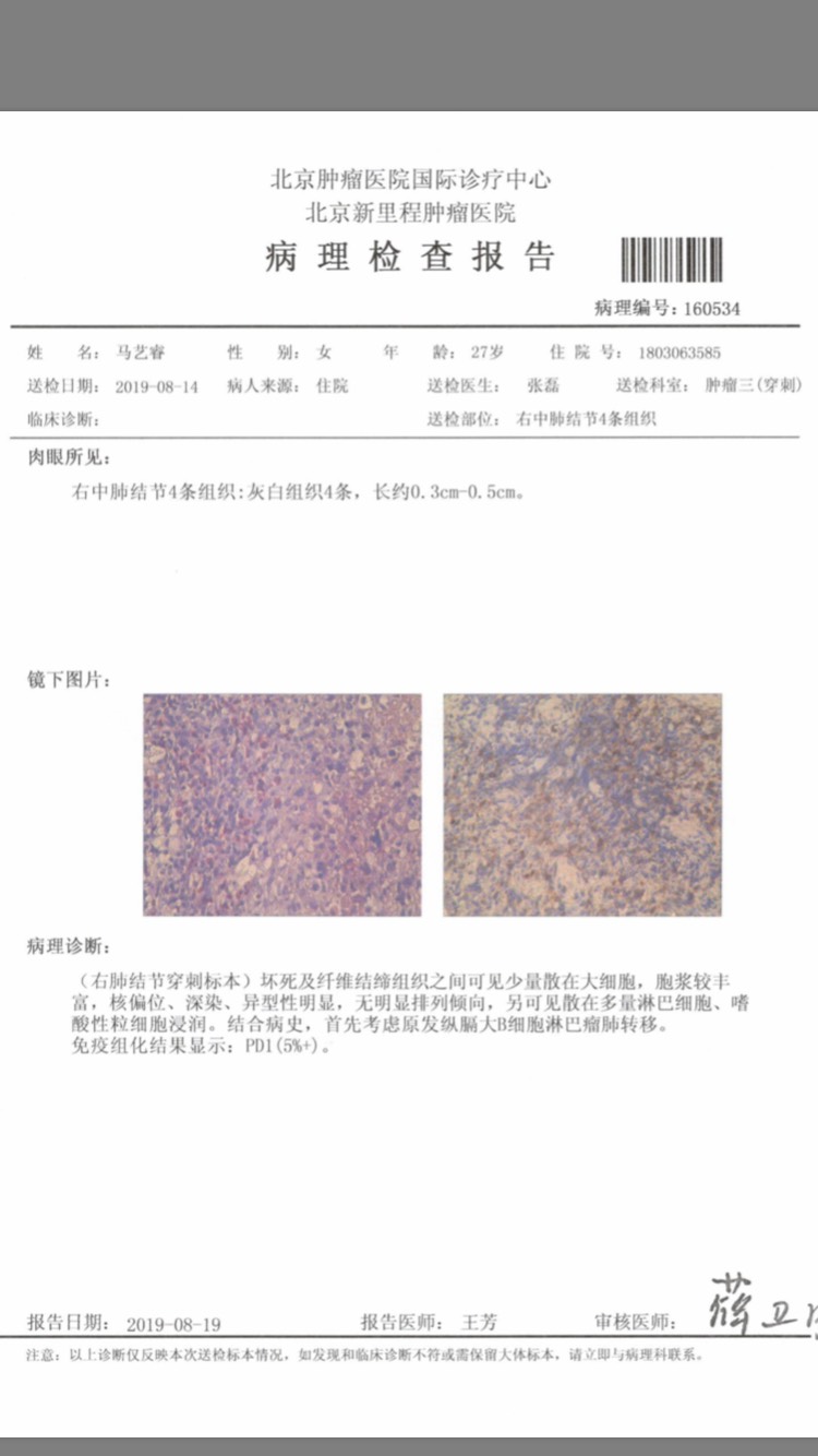 205443jhtr5toaiatdu66r.jpg