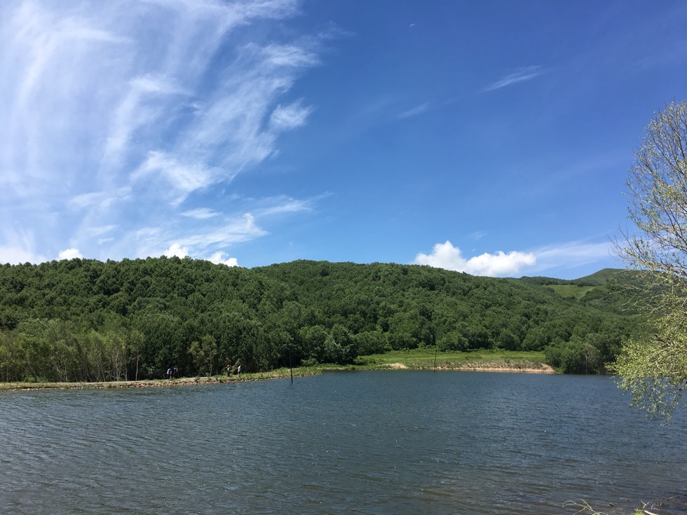 113231tbb7eraols1gqgzc.jpg