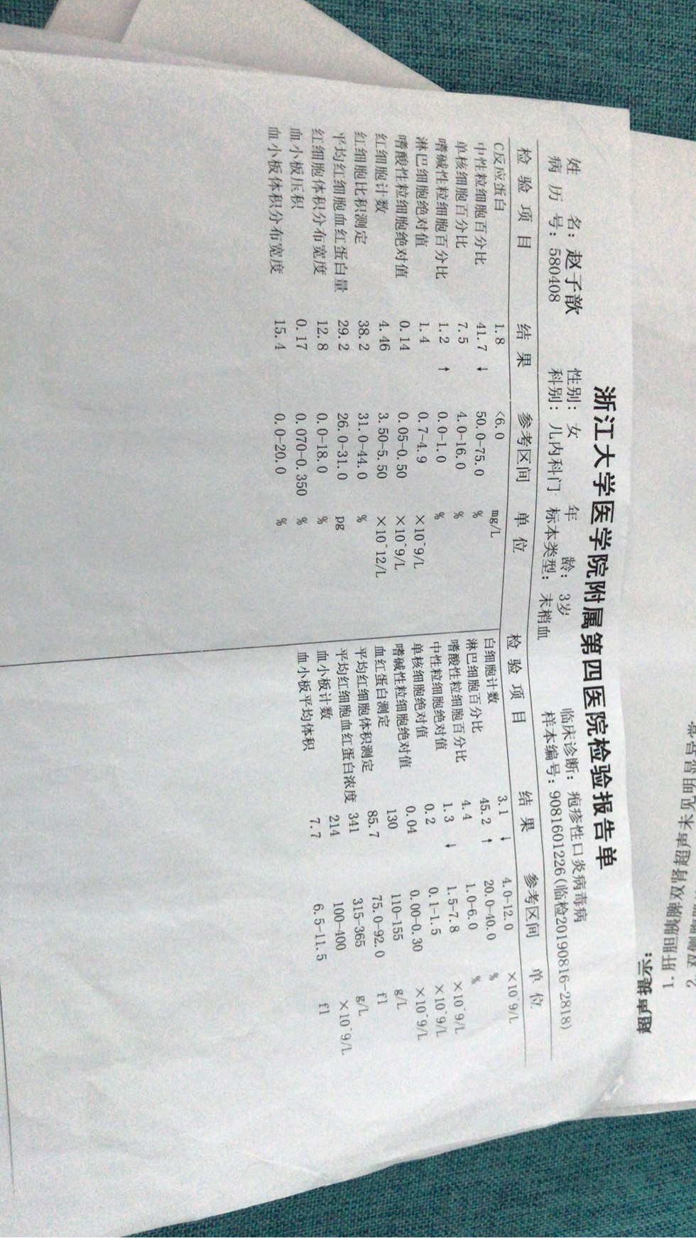 202941zozffmfa5jc381wj.jpg