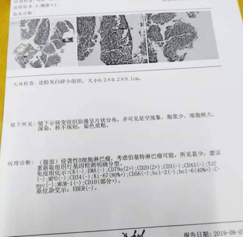 220827tbidjrdkrsnxc6sk.jpg