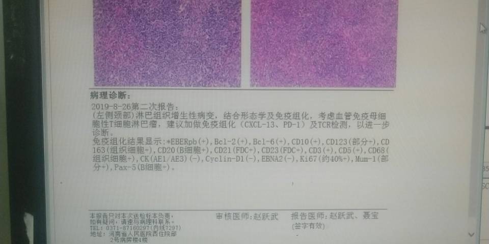 101228dt1n7a7zat7op6jo.jpg