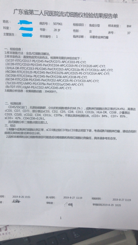 骨穿流式报告
