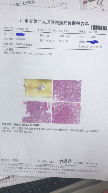 骨穿病理报告
