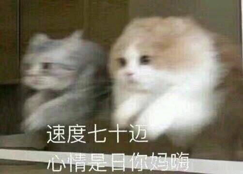 225036o632zy5ahwugmgpp.jpeg