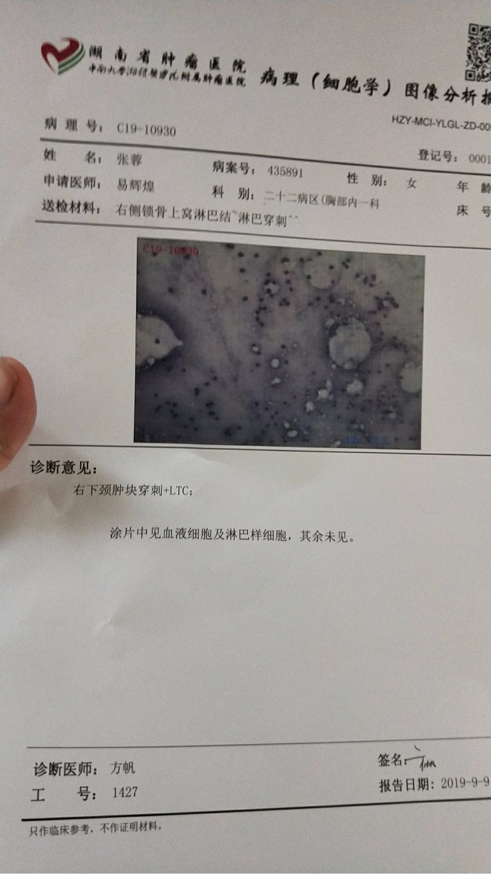 020903xrlr8lirc8xzp3pi.jpg